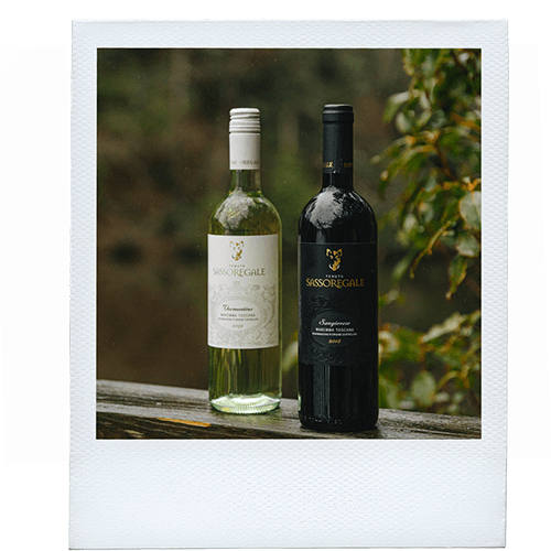 Bottles of sassoregale wine